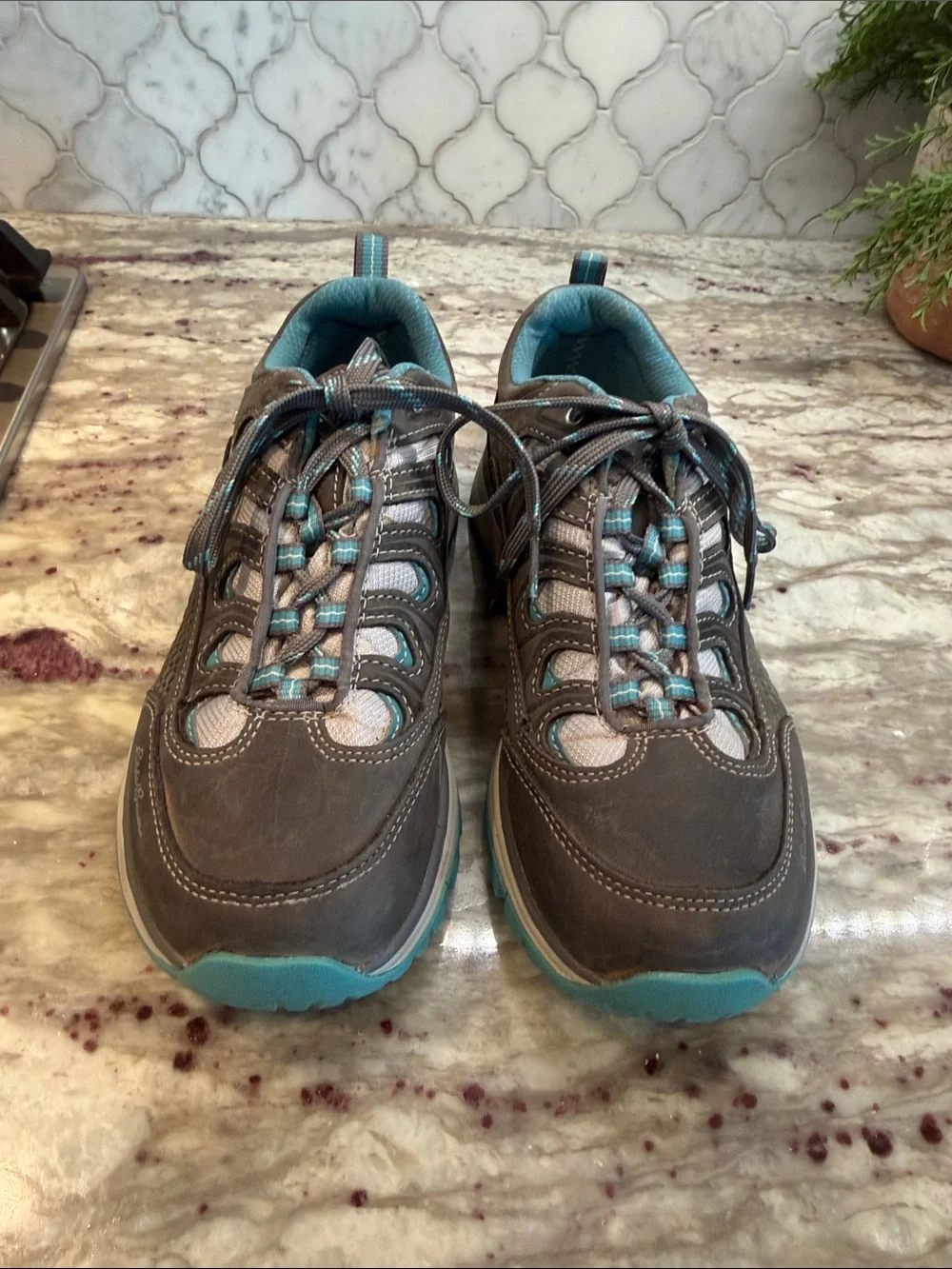 Eddie Bauer Guide Pro Hiker boots / shoes